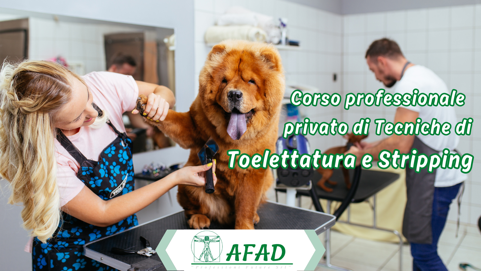 Corso privato professionale di Tecniche di Toelettatura e Stripping